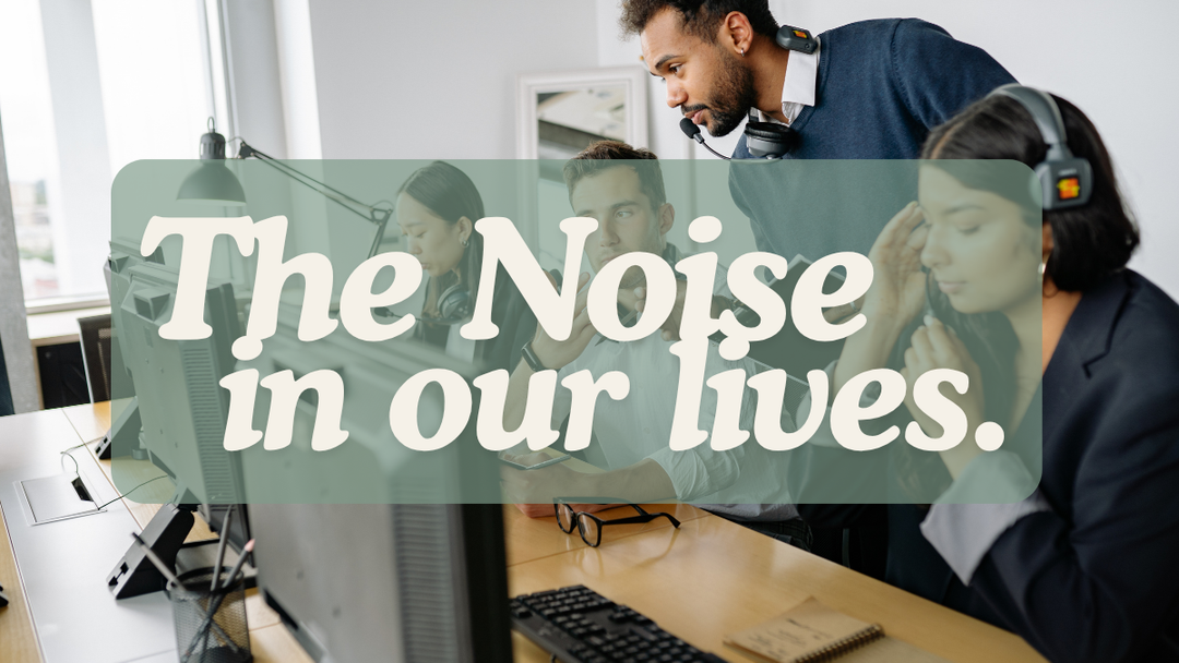The Noise We Live In