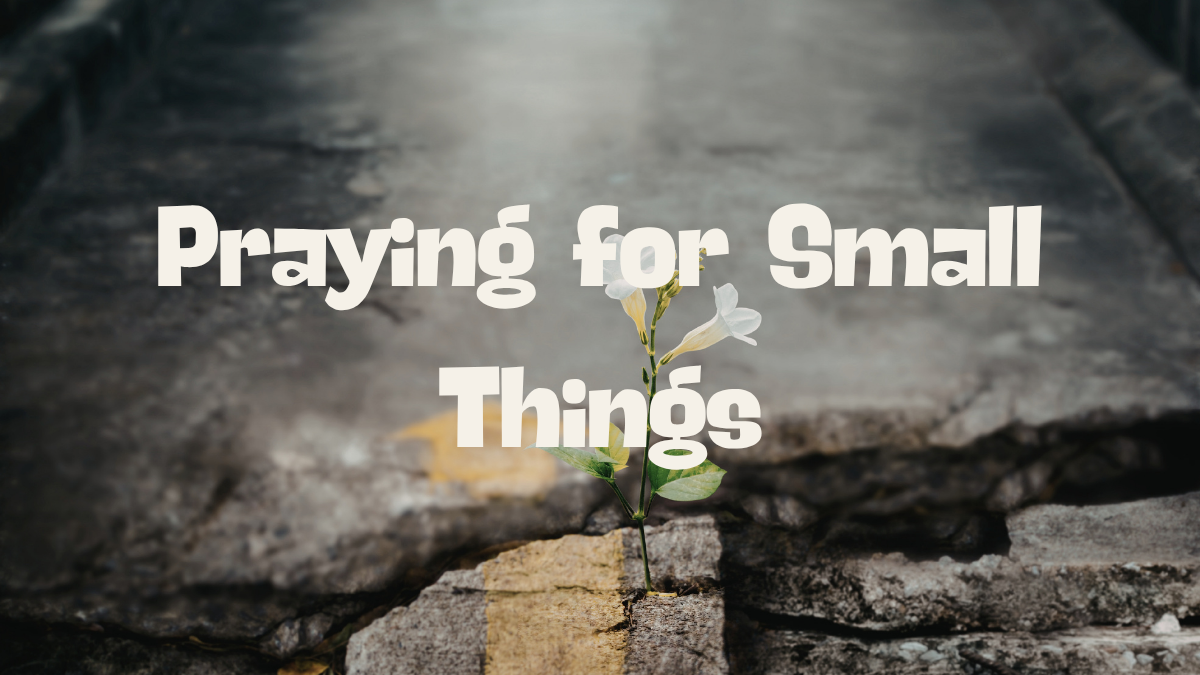 Praying for Small Things