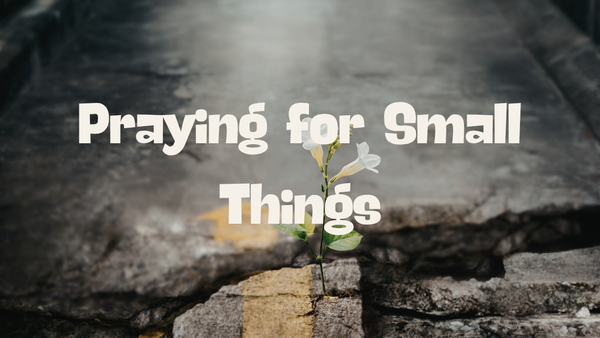 Praying for Small Things